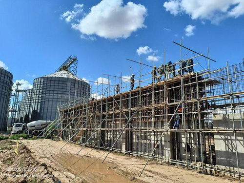 劉曉峰一行蒞臨玻利維亞圣胡利安大豆副產(chǎn)品加工廠項目并慰問員工